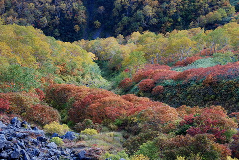 北海道への旅：二日目（トムラウシ編）---４_a0094730_2295513.jpg