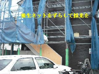 塗装工事最終日_f0031037_20553377.jpg