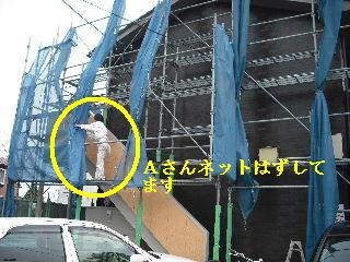 塗装工事最終日_f0031037_2055427.jpg
