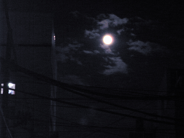 b0019140_16153054.jpg