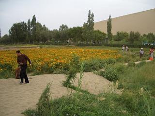d0114242_23121153.jpg