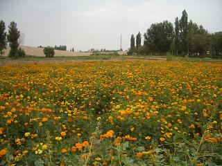 d0114242_23122011.jpg
