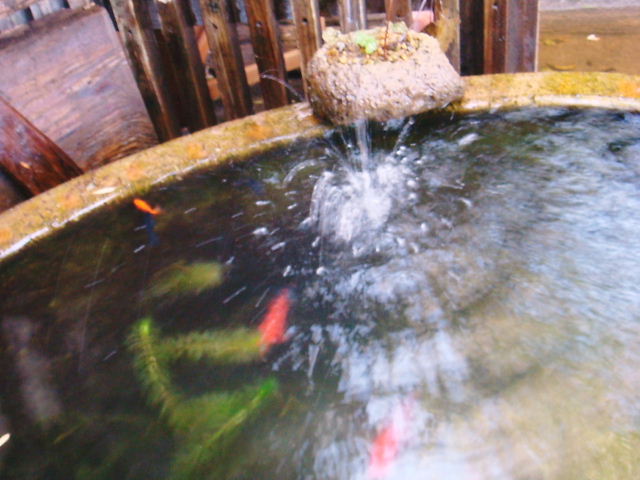 b0172347_23245162.jpg