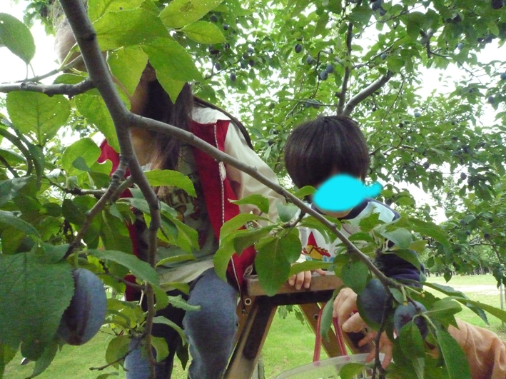 c0006748_15361892.jpg
