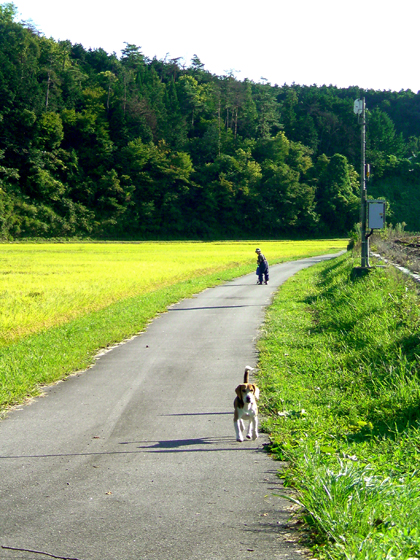 2009年『鳥取砂丘らくだはニンジンを食べるのか？実証の旅』_e0071652_17532133.jpg