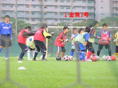 f0096955_23241883.jpg
