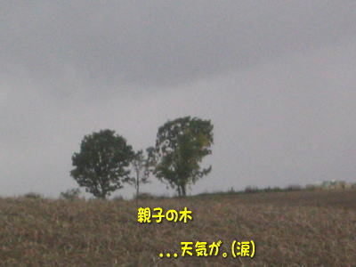 b0105157_1983226.jpg