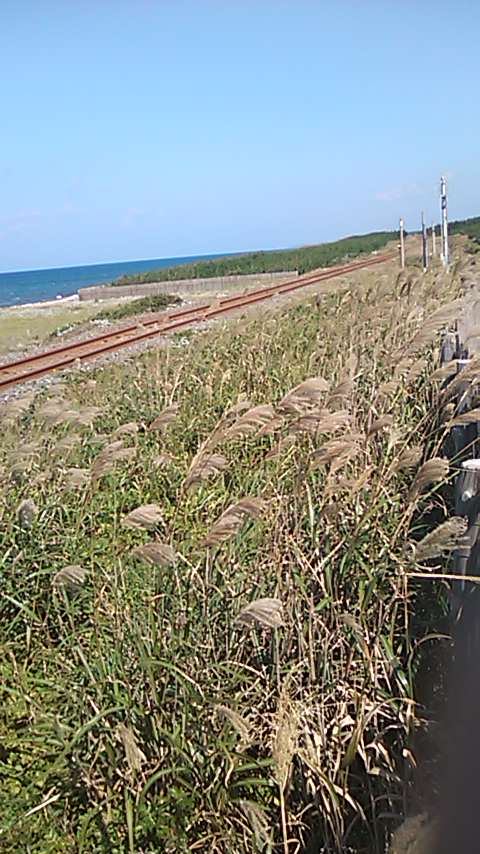 c0105957_22513049.jpg