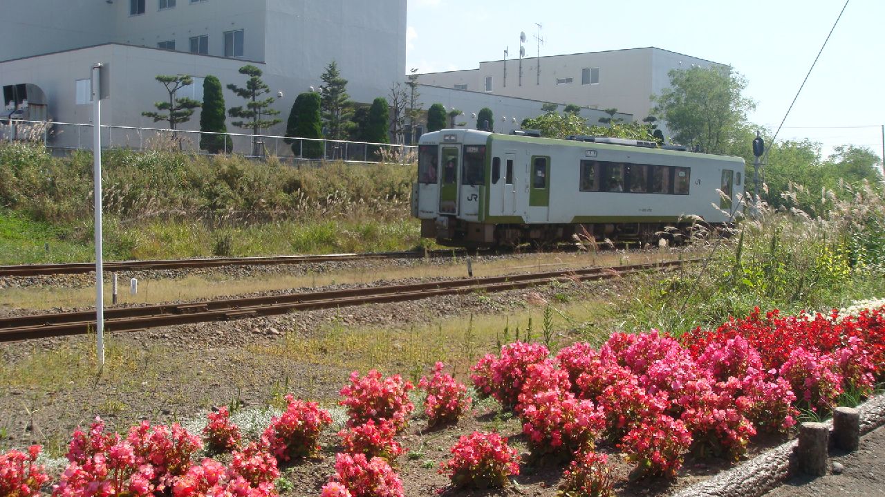 c0105957_23392338.jpg