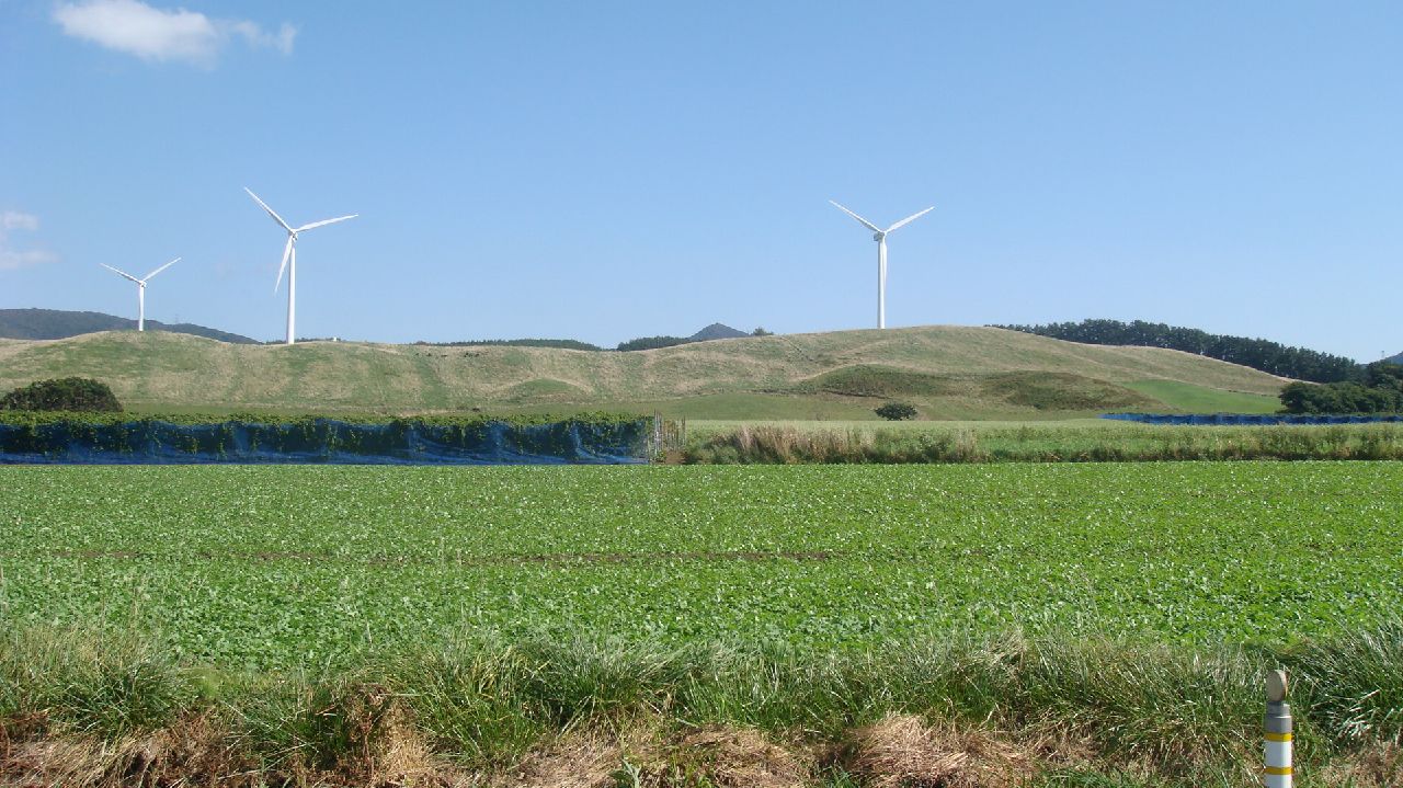 c0105957_23492737.jpg