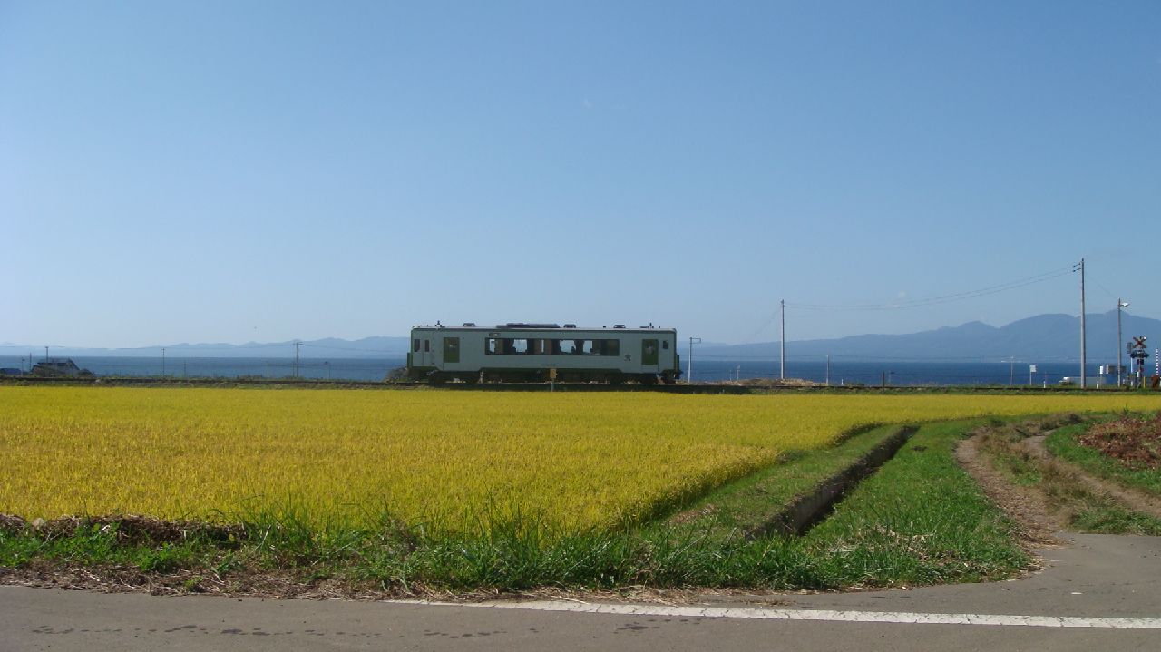 c0105957_2355638.jpg