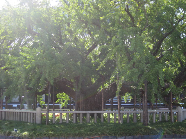 c0185858_1344348.jpg