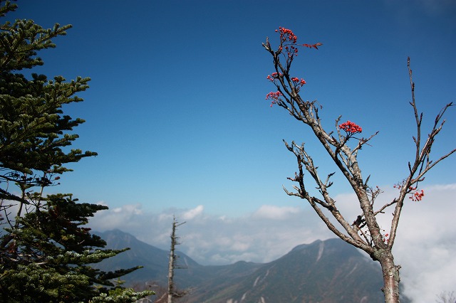 男体山登山！_d0089058_19573182.jpg