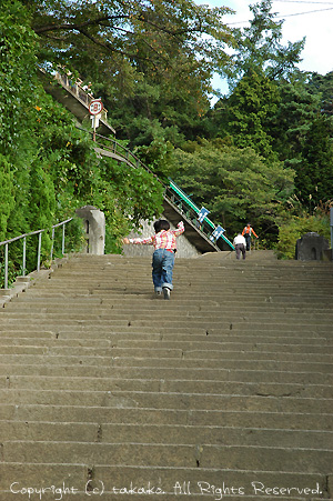 c0070460_1455068.jpg