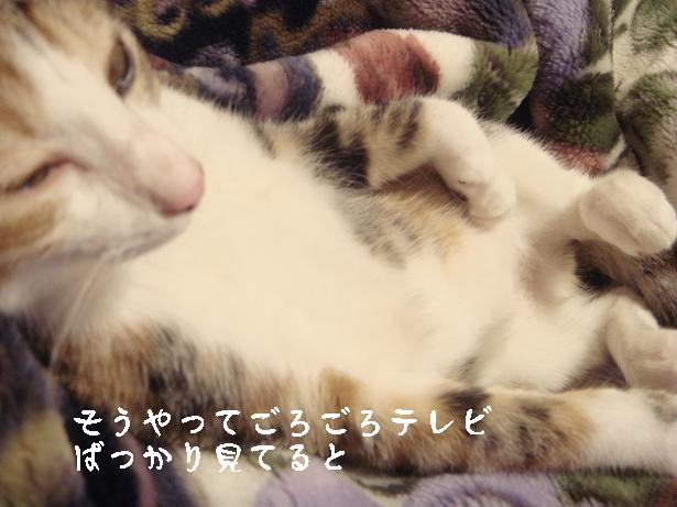 c0198560_20112510.jpg