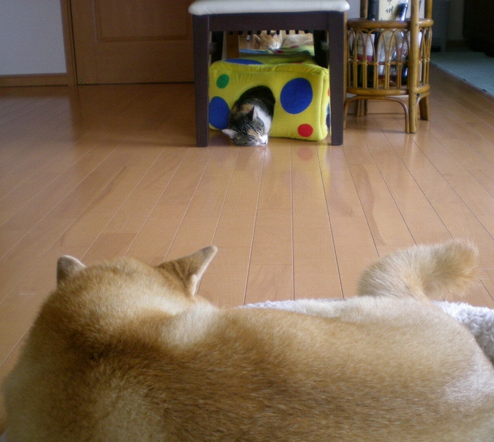 2009年10月5日(月)雨の日は何しているの?_f0060461_11194378.jpg
