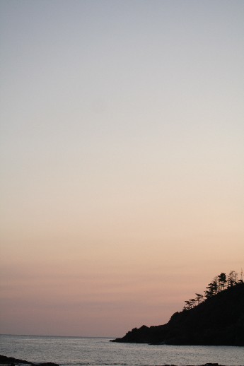 e0068962_12295552.jpg