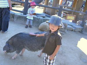 動物園は楽しいな！_f0131263_23265912.jpg