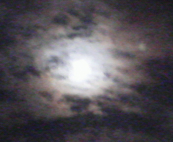 c0196264_0164190.jpg
