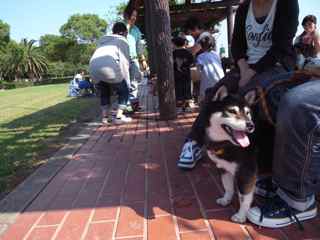 毎年恒例の・・・_d0129766_14325165.jpg