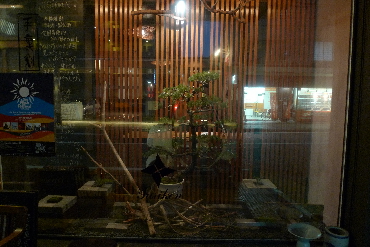 『ＢＯＮＳＡＩ』_b0187070_6551256.jpg