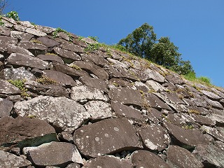 c0148270_8422381.jpg