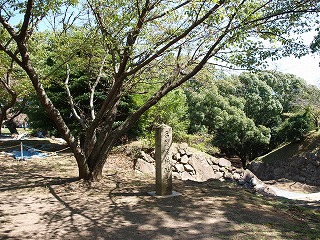 c0148270_8425265.jpg