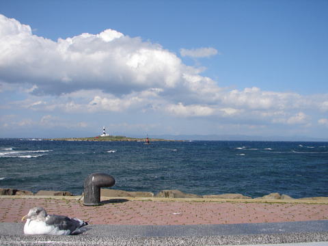 b0164071_3214984.jpg