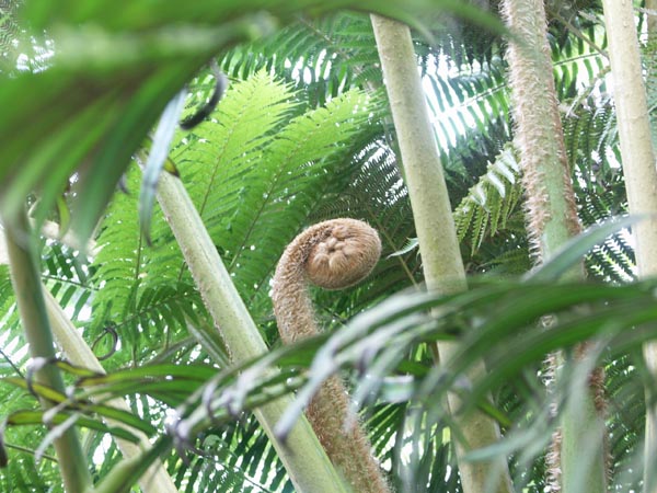 e0164571_12393915.jpg