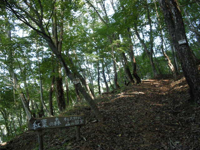 b0185573_61067.jpg
