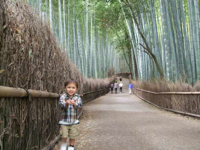 京都旅行　４日目_e0123680_2043582.jpg