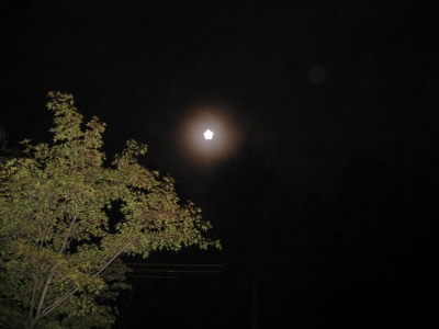 十五夜_d0133485_10145699.jpg