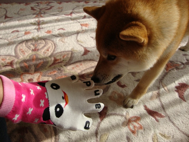 派手かしら?_a0126590_23104497.jpg