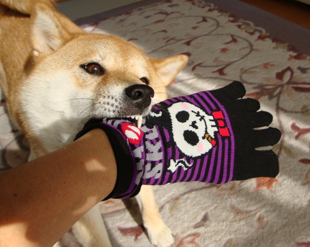 派手かしら?_a0126590_2312693.jpg