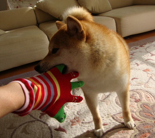 派手かしら?_a0126590_2395194.jpg