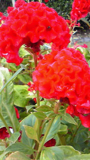 b0080090_10545688.jpg