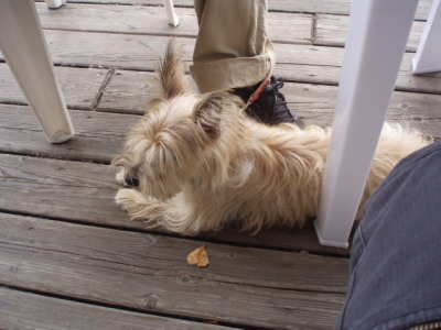 c0086895_21441050.jpg