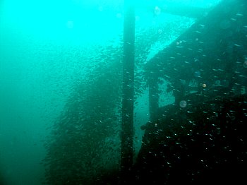 f0079996_1762643.jpg