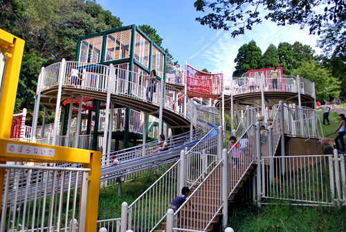 a0036400_248346.jpg