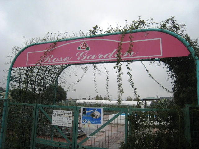 c0172504_2123817.jpg