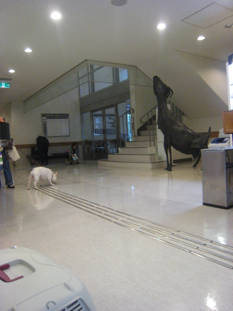 c0172504_21311144.jpg