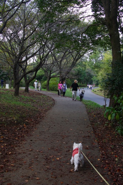 久しぶりに昭和記念公園に行ってきました★_f0039907_025982.jpg