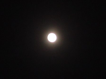 b0026408_221829100.jpg
