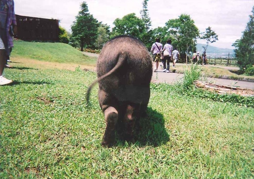 2009年度 中学生写真コンクール結果発表!_d0116009_11284116.jpg