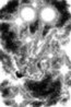 c0077412_23292769.jpg