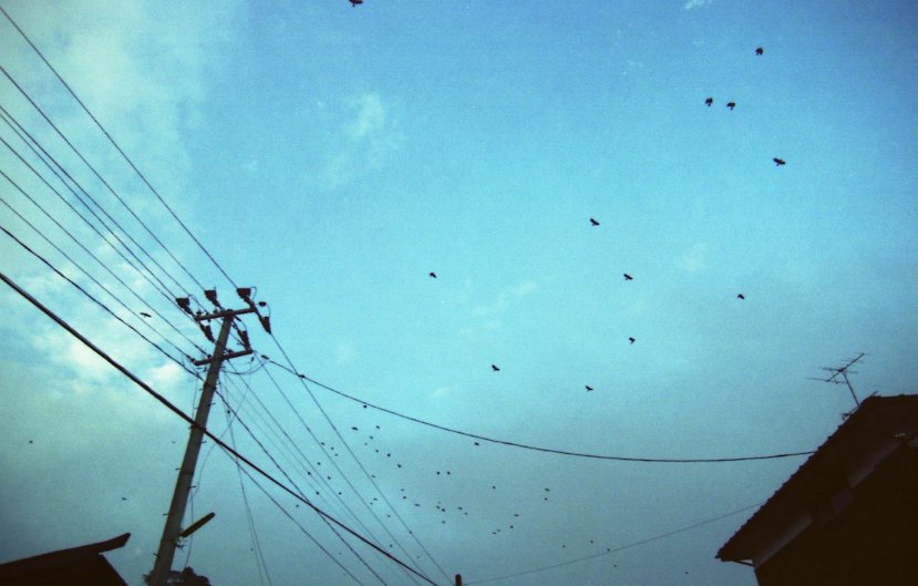 e0119012_2313350.jpg