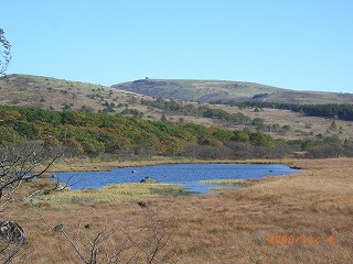 f0110413_8375373.jpg