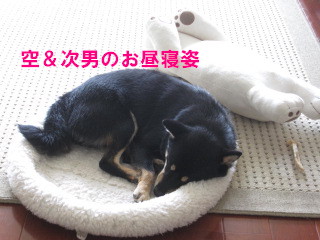 c0185516_0323786.jpg