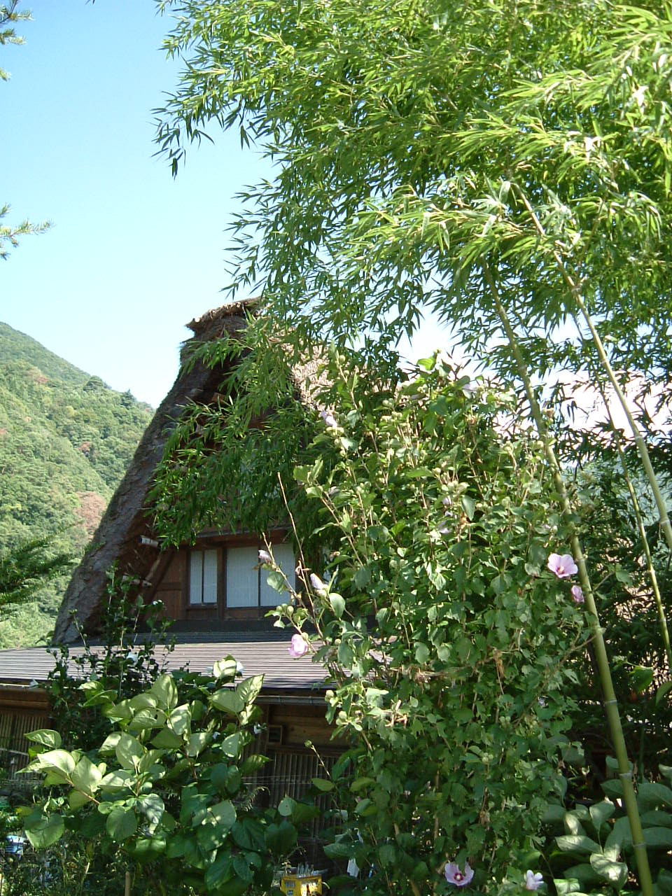 f0207320_10125.jpg