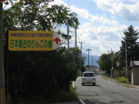 b0147224_055928.jpg